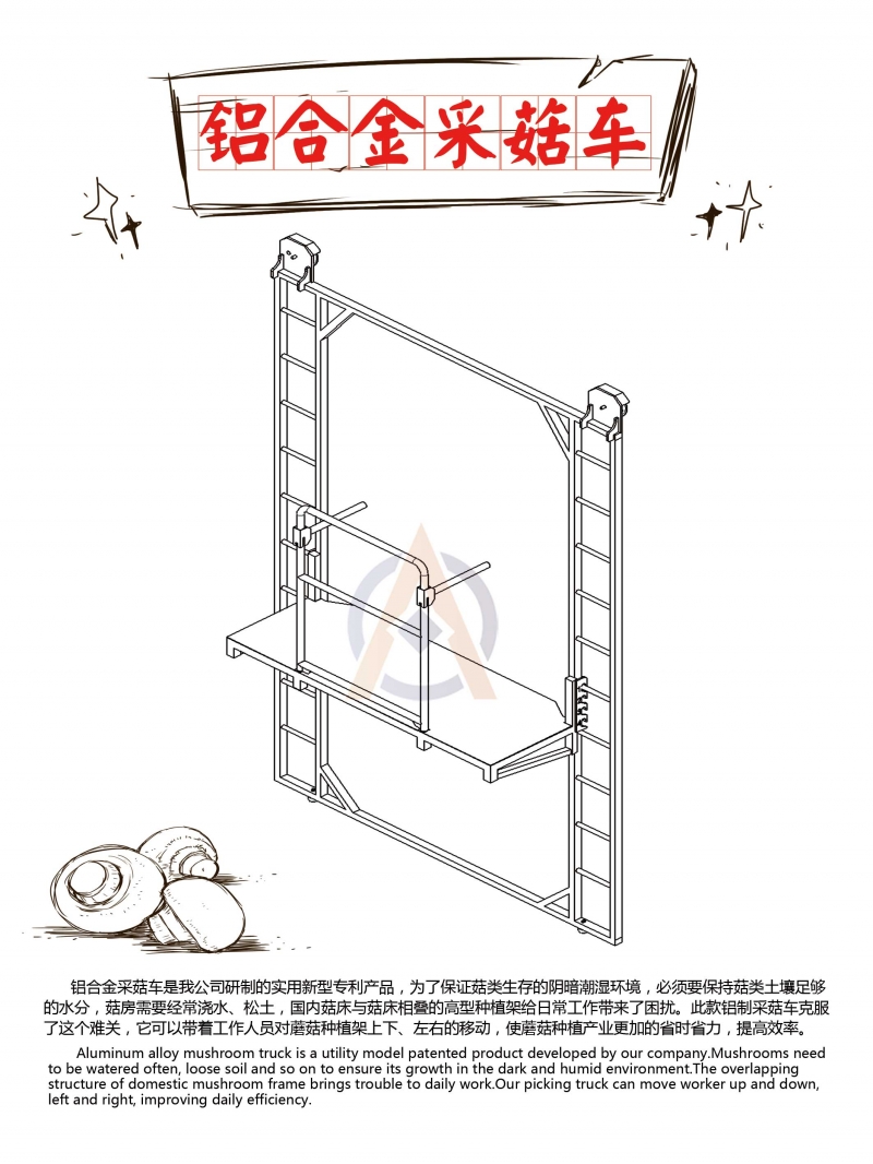 食用菌-產(chǎn)品簡(jiǎn)介