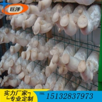 大棚平菇養殖架價格 秀珍菇出菇網格架 猴頭菇可移動網格架