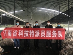 香菇平菇已賣1.2萬公斤！漯河醫專助力幫扶村很得力 ()