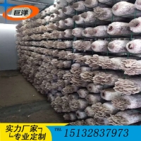 江西省綠色蘑菇網片 現代化大棚出菇網格架 食用菌規模化養殖架