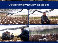 超1.78萬人次，3400條留言！2020第五屆全國羊肚菌大會圓滿結束 ()