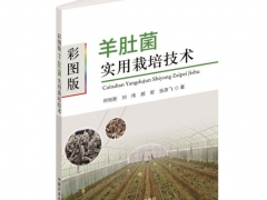 2020第五屆全國羊肚菌大會免費獲贈《彩圖版羊肚菌實用栽培技術》名單 ()