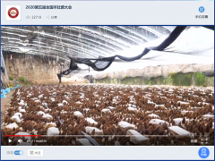 寧晉縣金元食用菌種植專業合作社帶領2020第五屆全國羊肚菌大會代表遠程參觀羊肚菌基地 ()
