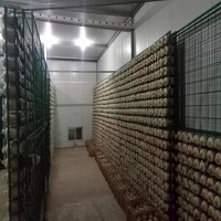 食用菌網架a濟南食用菌網架a食用菌網架廠家現貨