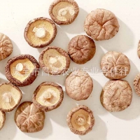 干香菇   河南昌盛干香菇批發價格廠家直銷