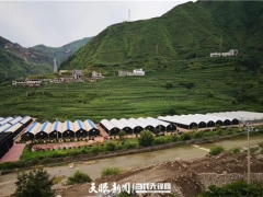 探秘！食用菌發(fā)展中的菌農期待與產業(yè)鏈回應 ()