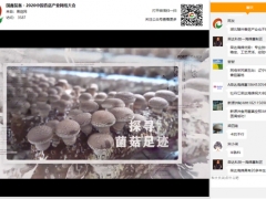 新技術 新格局 新形式：國鑫裝備·2020中國香菇產業(yè)網絡大會圓滿召開 ()