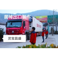 香菇菌棒批發基地 出口品質香菇菌棒批發廠家直銷