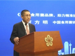 何方明：打造食用菌品牌，助力精準扶貧、鄉村振興 ()