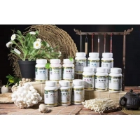 服用真菌多糖玉臨風(fēng)長根菇食用菌體質(zhì)健康強(qiáng)壯