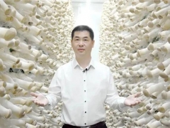 縣委書(shū)記路斌為道真食用菌代言！ ()