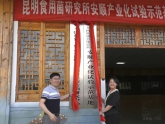 中華全國(guó)供銷合作總社昆明食用菌研究所安順研發(fā)中心揭牌 ()