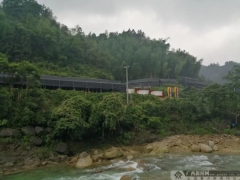 這個(gè)村靠木耳香菇撐出貧困村民致富路 ()