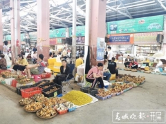 為菌瘋狂的時候到了！昆明野生菌大量上市 干巴菌最低300元/公斤 ()