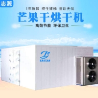 低價批發熱泵芒果干烘干機優質廠家水果烘干機