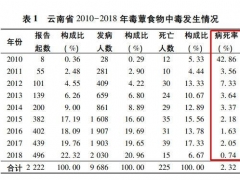 云南人嘗鮮見手青蘑菇能看到小精靈？這不好玩 還很嚴重 ()