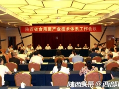木耳香菇等特色食用菌產業咋發展？陜西在柞水定下了這些新舉措 ()