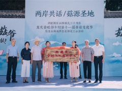 龍泉龍南鄉：以香菇為契，助推美麗城鎮“產業美”建設 ()
