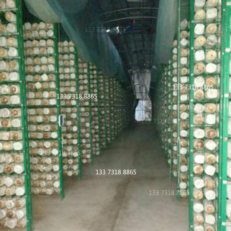 蘑菇網格_meitu_2