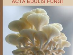 祝賀！《食用菌學報》進入農(nóng)林領(lǐng)域我國高質(zhì)量科技期刊公示名單