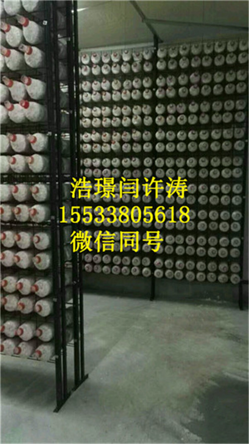 杏鮑菇網格架