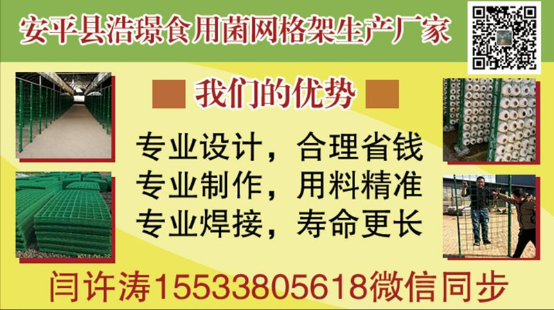食用菌網(wǎng)格架，出菇架