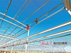 甘肅臨澤縣食用菌工廠化栽培生產車間加緊建設 ()