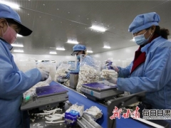 甘州食用菌產(chǎn)業(yè)定了一個“十四五”小目標 ()