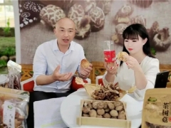 宜昌茅坪場(chǎng)鎮(zhèn)：電商直播助力香菇銷售駛?cè)搿翱燔嚨馈?()