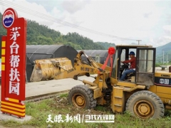 捐贈(zèng)100萬元擴(kuò)建10個(gè)食用菌大棚！道真這個(gè)茅臺(tái)幫扶園多了四川經(jīng)銷商的愛心力量 ()