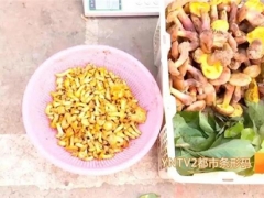 云南：文山又有兩種野生菌上市！價(jià)格驚人！ ()