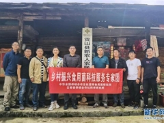 “鄉(xiāng)村振興食用菌科技服務專家團”赴怒江州開展科技服務 ()