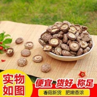 河南靈寶昌盛干香菇批發 干香菇肉厚瓷密