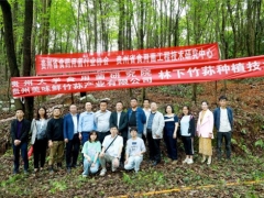專家助力，貴陽市順海林場岔二巖林下紅托竹蓀種植基地成功開展種植技術培訓會 ()