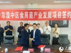 投資5億元！西寧市湟中區食用菌產業迎來提檔升級 ()