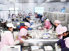 貴州大方：日產(chǎn)量達(dá)70噸，產(chǎn)值達(dá)60余萬元！工廠化種植食用菌助農(nóng)增收 ()