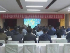 甘肅省天?？h開展食用菌實用技術(shù)專題培訓 ()