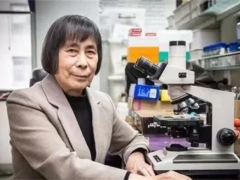 中國科學院院士、中科院微生物研究所研究員莊文穎：為認識真菌付出畢生努力 ()