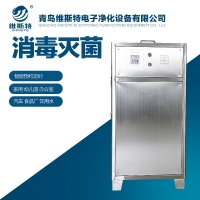 食品車間臭氧發(fā)生器 空間消毒臭氧殺菌機