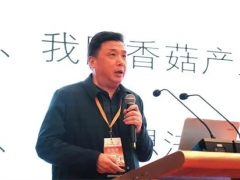 邊銀丙：香菇產業“三駕馬車”失去動力 如何化險為夷？ ()