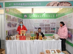 展區圖：陜西森盛菌業科技有限公司 (1)