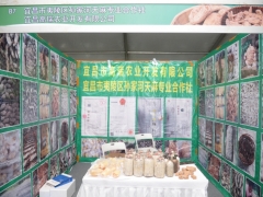 展區圖：宜昌市夷陵區孫家河天麻專業合作社/宜昌高瑞農業開發有限公司 (1)