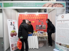 展區圖：五峰峰澤中藥材種植專業合作社/宜昌市夷陵區農鑫天麻種源基地 (1)