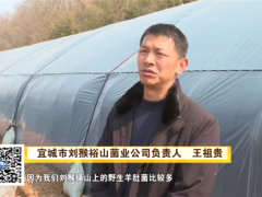 喜訊！湖北裕山菌業首批羊肚菌順利出菇 ()