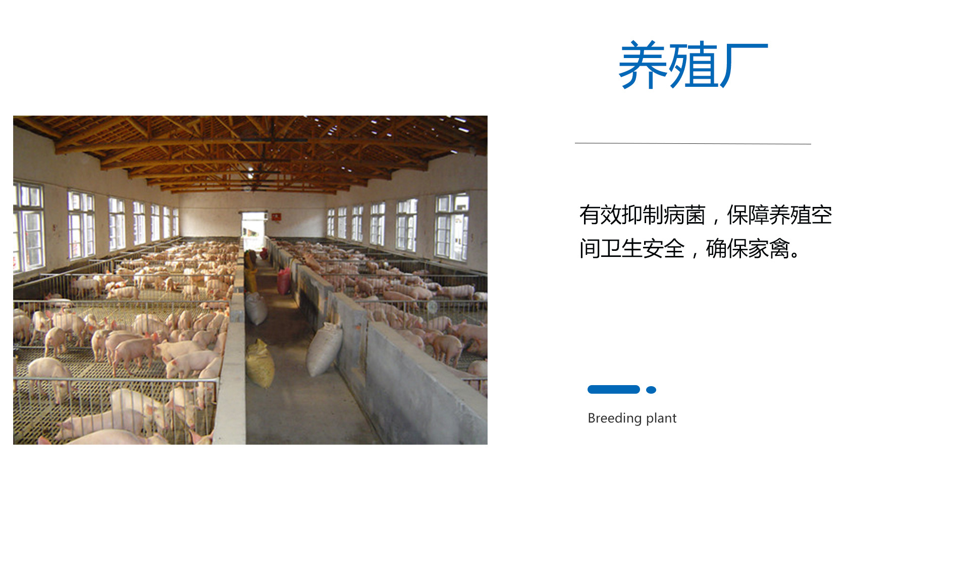 養殖廠-1