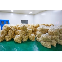 無公害銀耳常年供應，干銀耳，銀耳鮮燉，銀耳花，雪菲寵耳