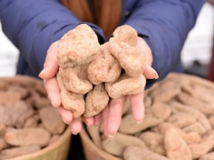 靈芝、天麻陸續(xù)解鎖“藥食同源” 對未來影響幾何？ ()