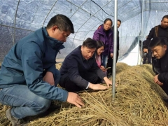 華中農業大學邊銀丙教授赴仙桃、宜昌等地開展“鄉村振興荊楚行”工作 ()