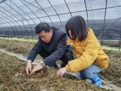 大球蓋菇（紅松茸）產(chǎn)業(yè)分會(huì)會(huì)長(zhǎng)、華中農(nóng)業(yè)大學(xué)邊銀丙教授前往武漢蔡甸大球蓋菇基地考察 (3)