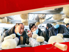 祝賀！“隨縣香菇種植工”上榜湖北省十大勞務品牌 ()